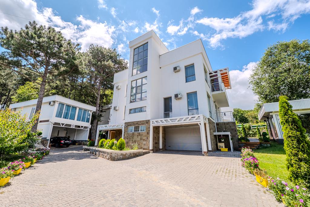 photo_5318923925444037824_y