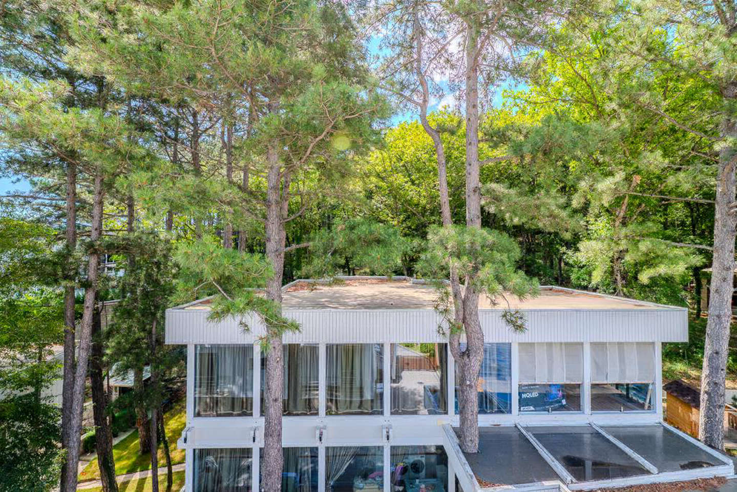 photo_5318923925444037825_y.jpg_processed