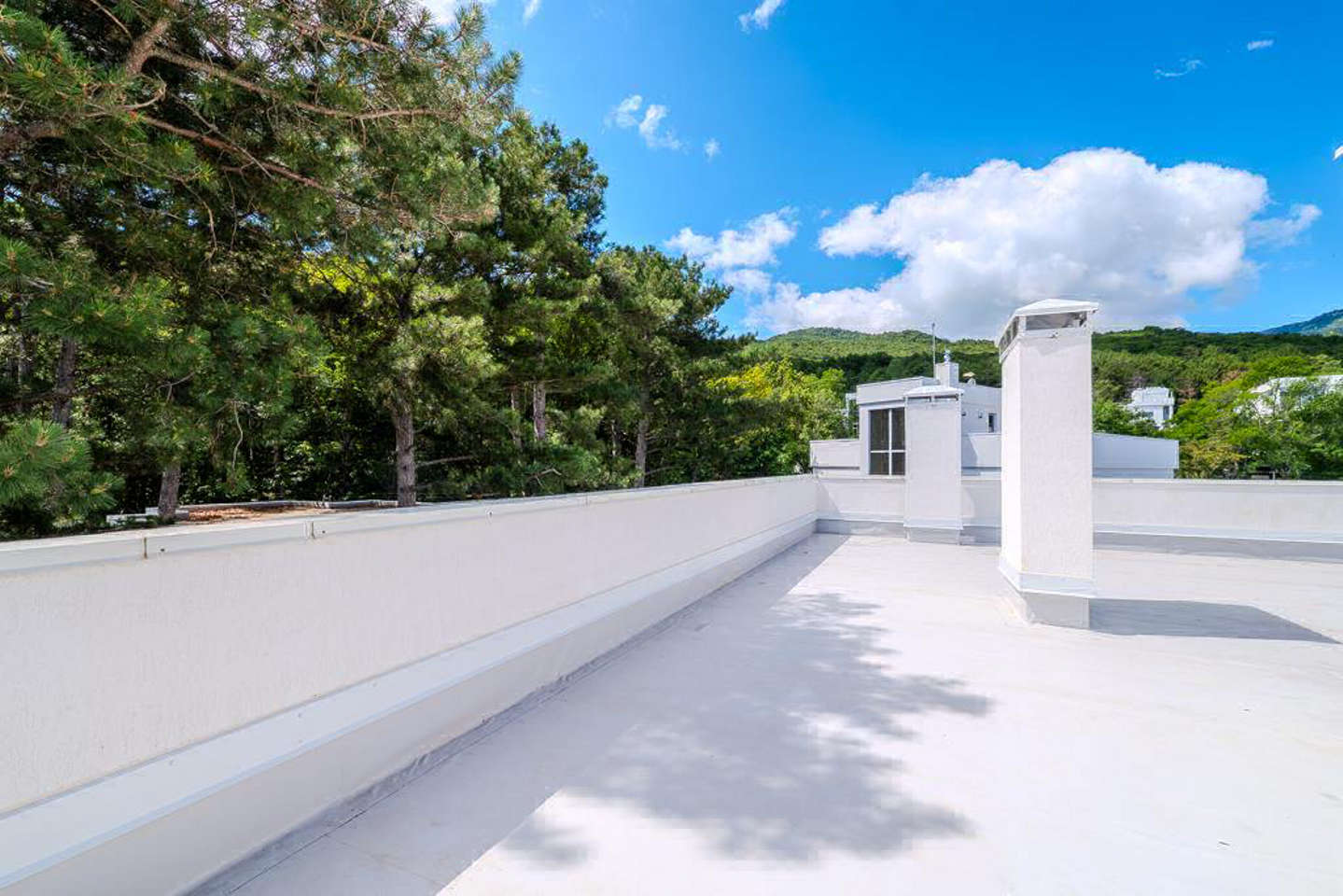 photo_5318923925444037828_y.jpg_processed