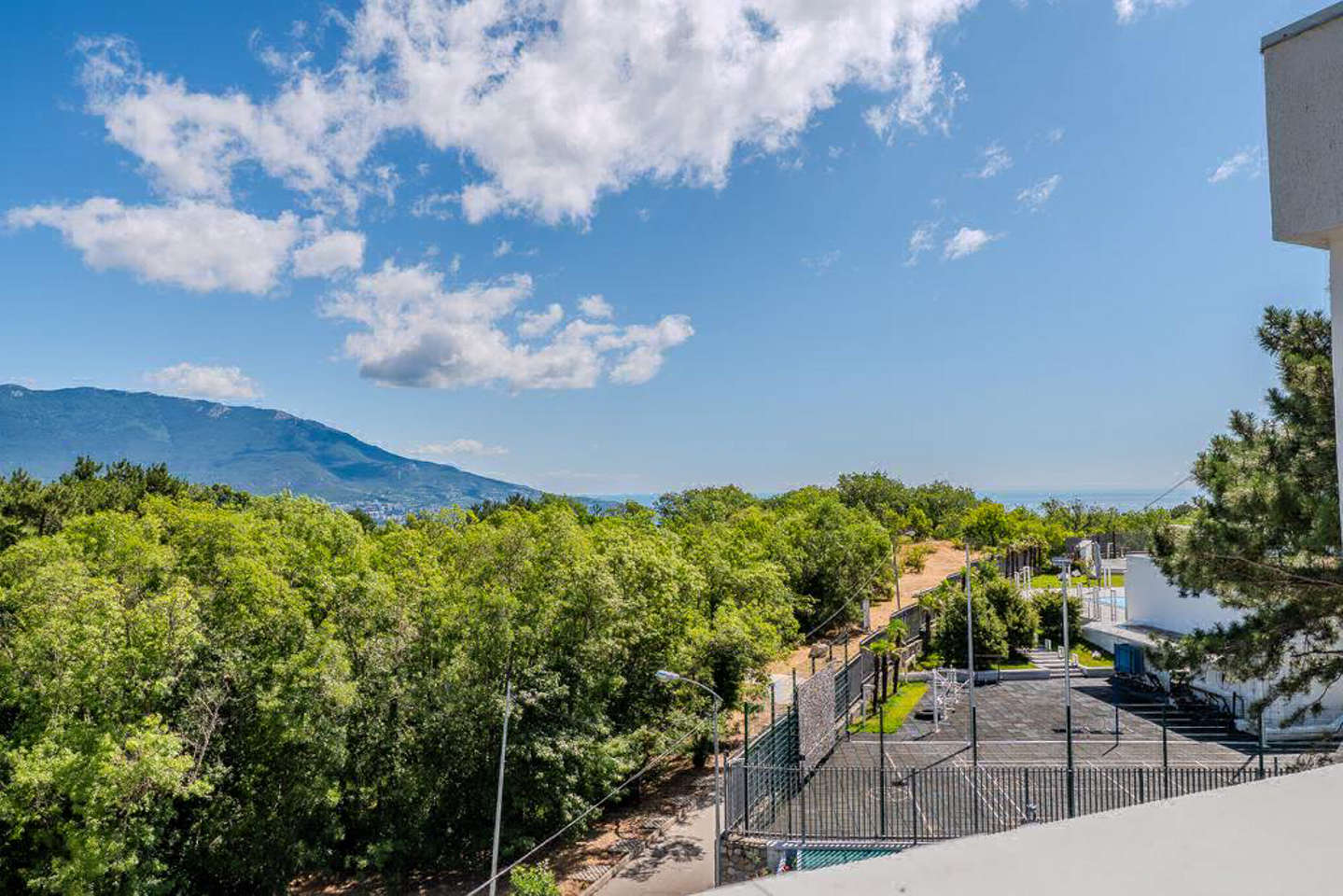 photo_5318923925444037833_y.jpg_processed