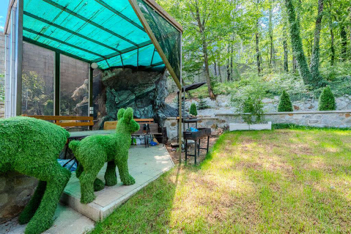 photo_5318923925444037838_y.jpg_processed