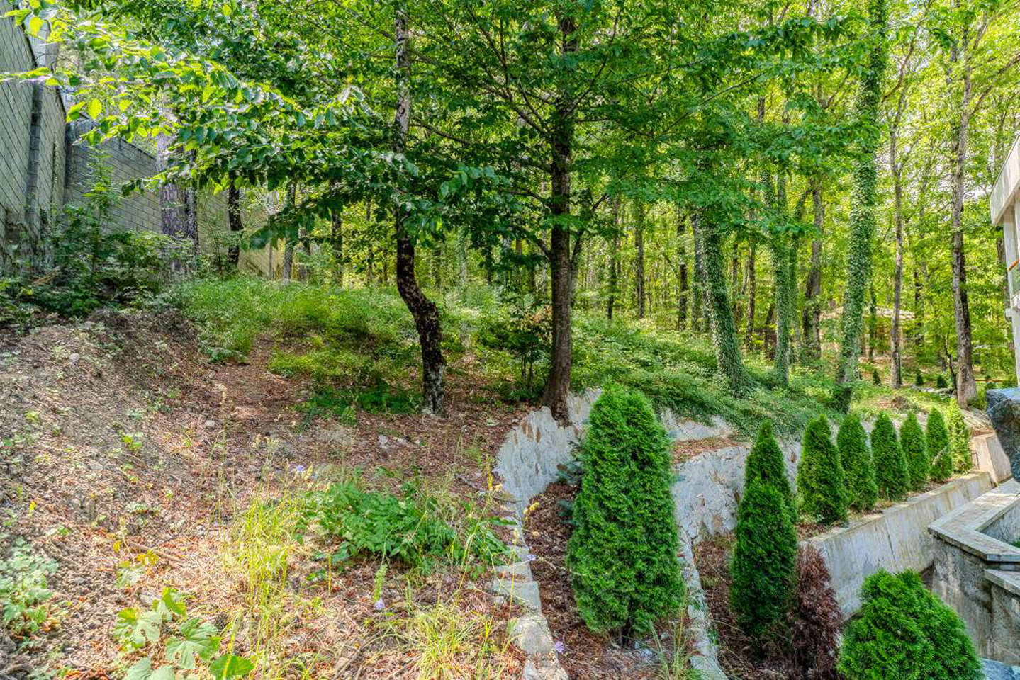 photo_5318923925444037839_y.jpg_processed