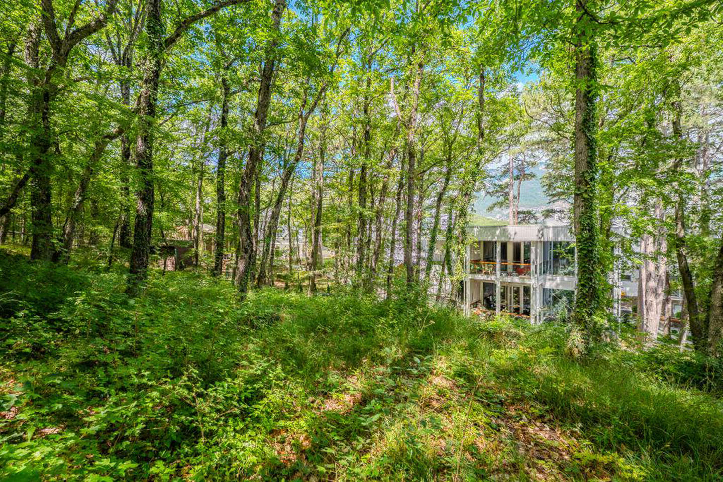 photo_5318923925444037841_y.jpg_processed