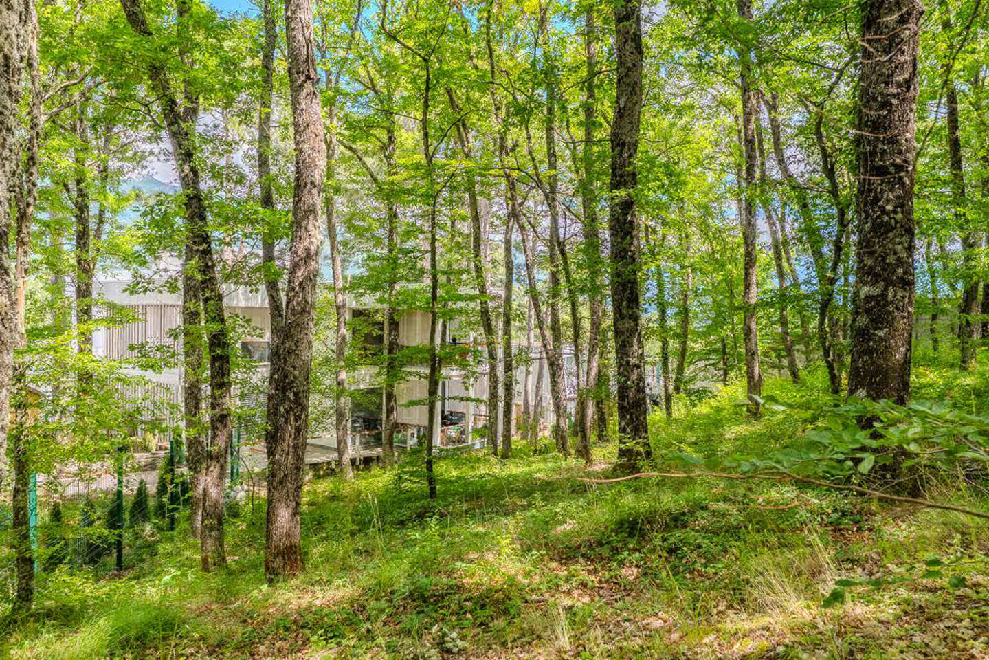 photo_5318923925444037842_y.jpg_processed