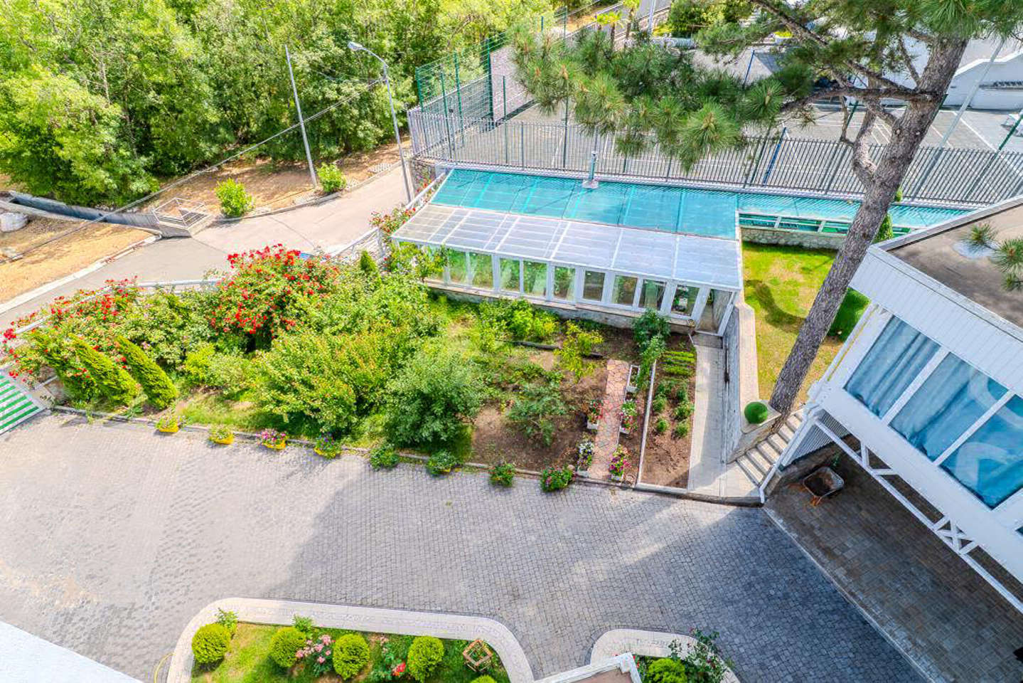 photo_5318923925444037844_y.jpg_processed