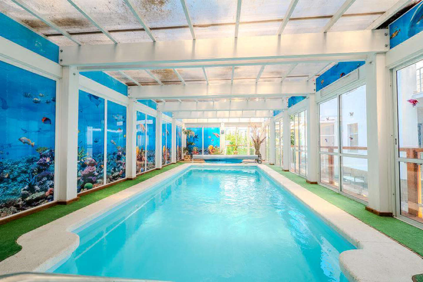 photo_5318923925444037847_y.jpg_processed